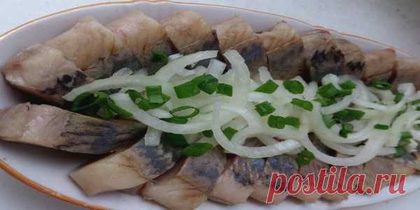 СЕЛЁДОЧКА В БАНКЕ — БОЧКОВОЙ ЗАСОЛ. — Копилочка полезных советов