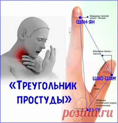 (97) Pinterest