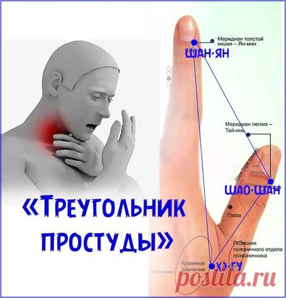 (97) Pinterest