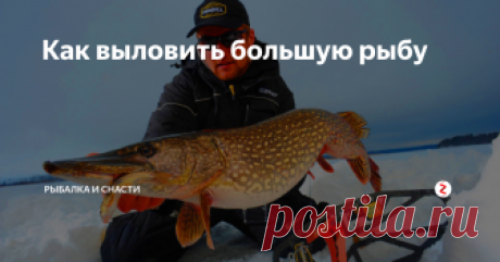 Как выловить большую рыбу Существует несколько самых важных условий для успешного вываживания крупной рыбы.
Какие это условия?
1. Удилище должно быть приподнято над водой и находиться в положение под углом сорок пять – шестьдесят градусов, при этом леска должна быть натянута. Такой прием позволяет удилищу сгибаться и пружиниться, при этом ослабляются толчки рыбы и замедляется ее движение.
2. Ни в коем случайте не допускайт