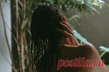 Парикмахер опровергла популярный миф о вреде ежедневного мытья головы. Парикмахер Рэйчел Валентайн опровергла популярный миф о вреде ежедневного мытья головы. По словам инфлюэнсерши с никнеймом rachelvalentinehair, кожа головы вырабатывает такое же количество себума, что и другие части тела. При этом специалистка уточнила, что уровень работы сальных желез может также зависеть от возраста.