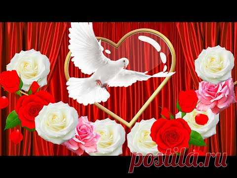 💖Я тебя люблю! С днем святого Валентина! 💖 День влюбленных!

💖 Красивое поздравление с днем влюбленных 14 февраля. Слова любимому Я тебя люблю! видео открытки. 💖 Поздравление с днем святого валентина. В День святого Валентина принято признаваться в любви. А я желаю не просто любить и быть любимым человеком, желаю чтобы любовь была искренней, крепкой и прочной. Чтобы сердце от радости и счастья билось в такт с сердцем любимой человека. Чтобы любовь вдохновляла на добрые дела и красивые поступ