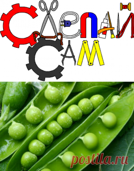Запасы на зиму: 12 продуктов, которые обязательно нужно заморозить!
