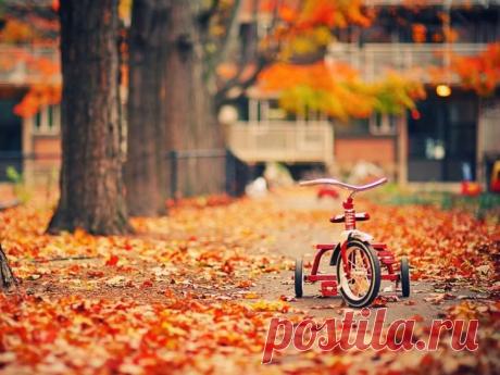 осень фантастически прекрасна