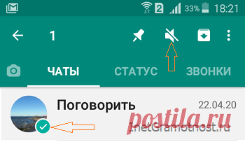 Чаты WhatsApp: как включить и выключить звук уведомлений | Интернет - грамотность с Надеждой