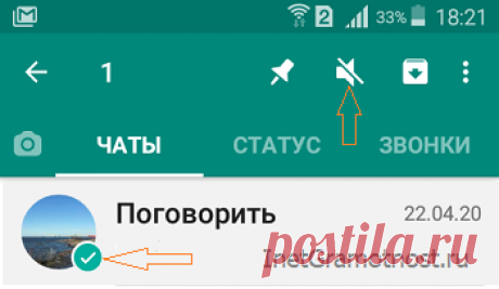 Чаты WhatsApp: как включить и выключить звук уведомлений | Интернет - грамотность с Надеждой
