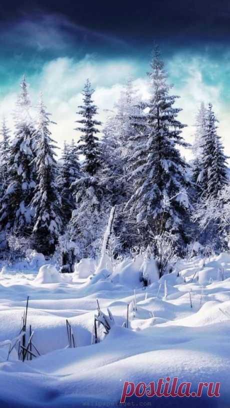 Paisaje nevado  |  Pinterest • Всемирный каталог идей
