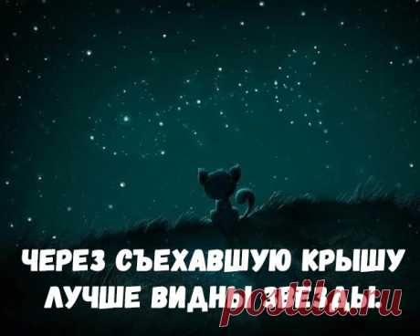 Прикольные картинки с цитатами - со смыслом, короткие, мудрые