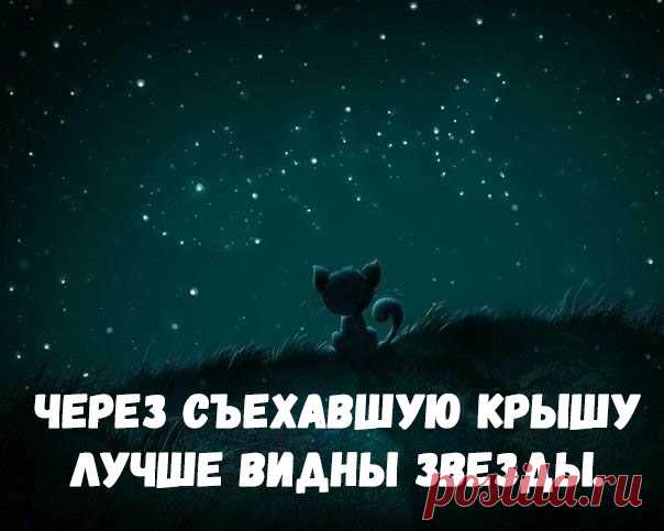 Прикольные картинки с цитатами - со смыслом, короткие, мудрые