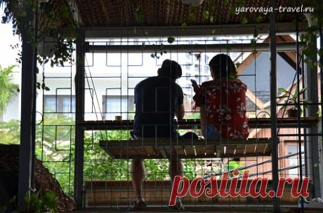 Оригинальное кафе в Нячанге, или модные веяния у вьетнамцев. | Путешествия с Ириной Яровой