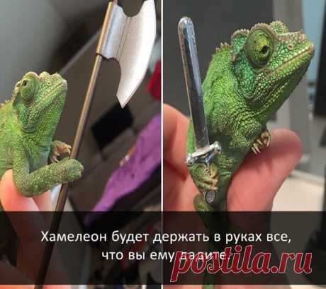 Узнай сегодня