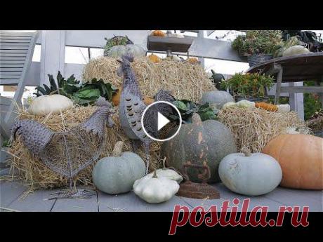 Сад с нуля. Садовый декор. Сад с нуля. Садовый декор....