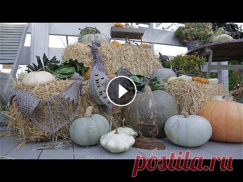 Сад с нуля. Садовый декор. Сад с нуля. Садовый декор....