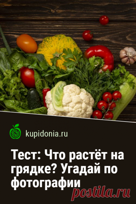 Тест: Что растёт на грядке? Угадай по фотографии. Тест для продвинутых огородников и просто любителей овощей и фруктов. Попробуйте, взглянув на фотографию и прочитав подсказку, правильно назвать каждое из растений.