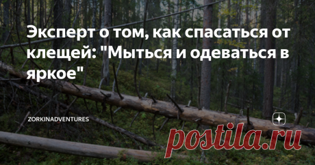 Эксперт о том, как спасаться от клещей: "Мыться и одеваться в яркое" "В слюне клеща содержится обезболивающее, так что ощутить момент  укуса нереально". Что делать, чтобы не пасть жертвой опасного клеща.