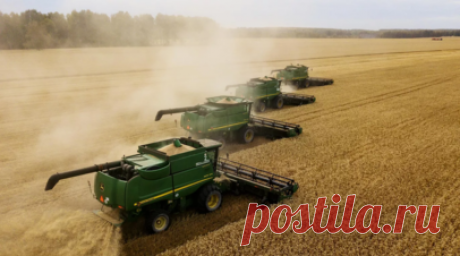 В Пензенской области началась уборочная кампания. Губернатор Пензенской области Олег Мельниченко заявил, что в регионе началась уборочная кампания. Читать далее