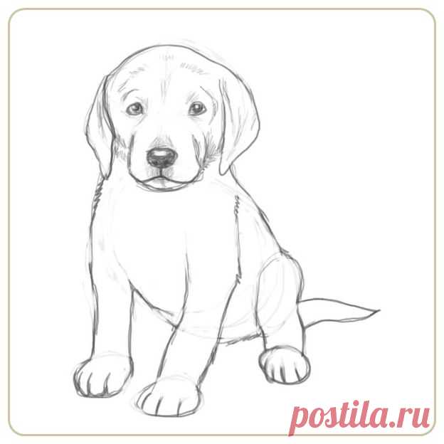 как нарисовать собаку: 68 тыс изображений найдено в Яндекс.Картинках