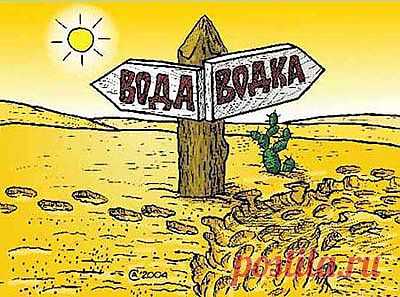 Особенности водки | Мир продуктов питания