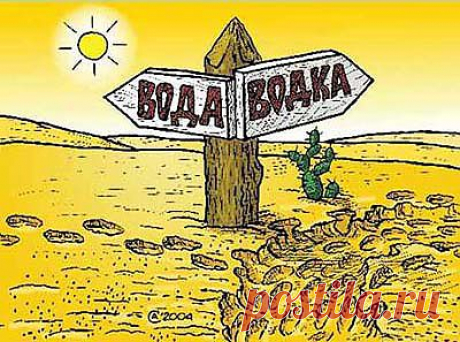 Особенности водки | Мир продуктов питания