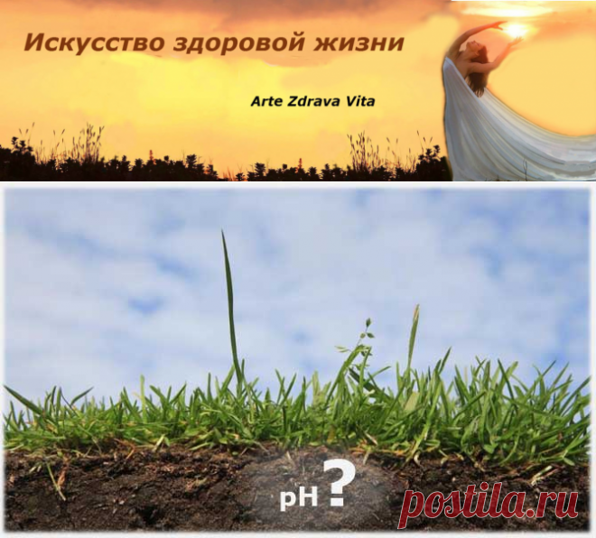Уникальные способы проверки почвы - Искусство здоровой жизни