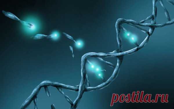 Как алкоголь вызывает рак? | Darth biology | Яндекс Дзен