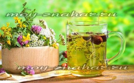 Как повысить эластичность сосудов: народные средства