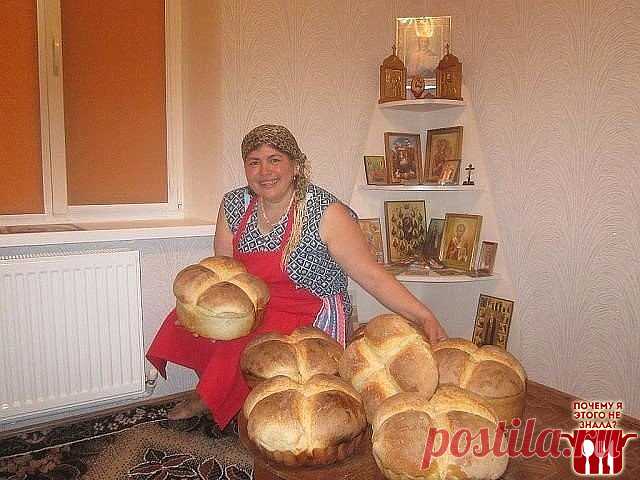 (65) Одноклассники