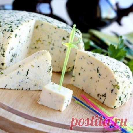 Домашний сыр, рецепты суппер
