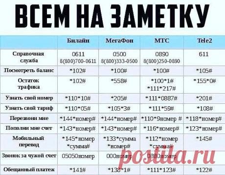 6 непрочитанных чатов