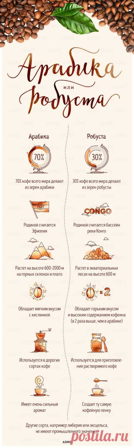 Гид по кофе | Диеты со всего света