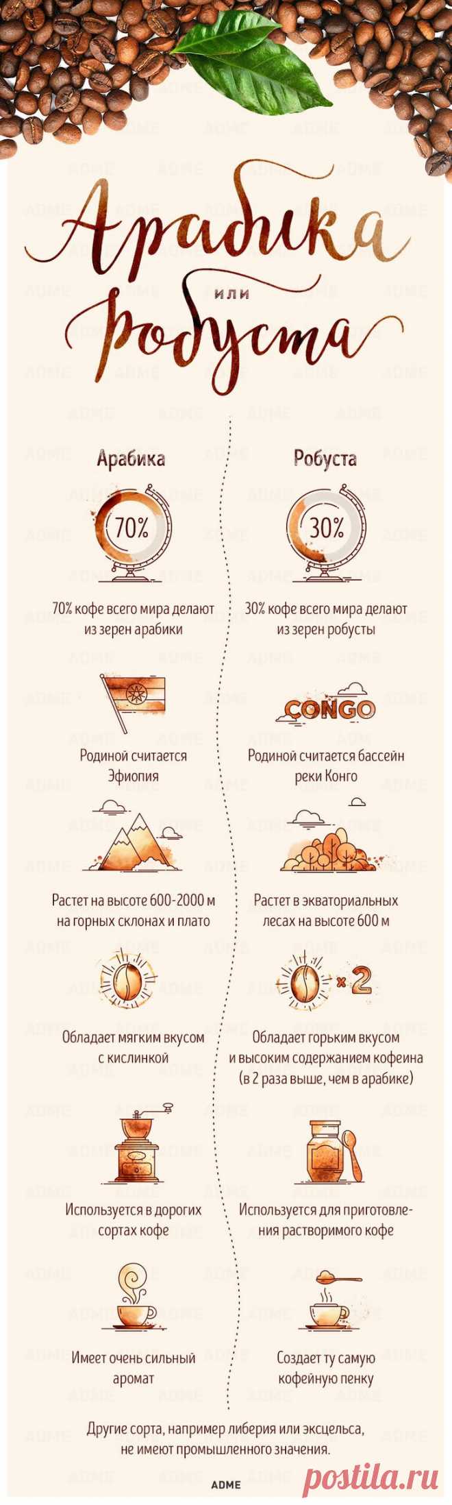 Гид по кофе | Диеты со всего света