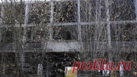 Подозреваемого в изнасиловании 11-летней девочки в заброшенной больнице задержали. В подмосковном Подольске задержали мужчину, подозреваемого в изнасиловании 11-летней девочки в заброшенной больнице. Об этом сообщает Life со ссылкой на Telegram-канал Shot. По информации Telegram-канала, сначала мужчина сообщил, что во ...