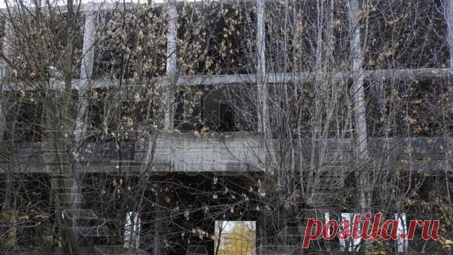 Подозреваемого в изнасиловании 11-летней девочки в заброшенной больнице задержали. В подмосковном Подольске задержали мужчину, подозреваемого в изнасиловании 11-летней девочки в заброшенной больнице. Об этом сообщает Life со ссылкой на Telegram-канал Shot. По информации Telegram-канала, сначала мужчина сообщил, что во ...