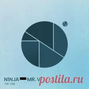 Mr. V & N1NJA - The Vibe (Extended Version) [Mobilee299K] - HypeDJ.top