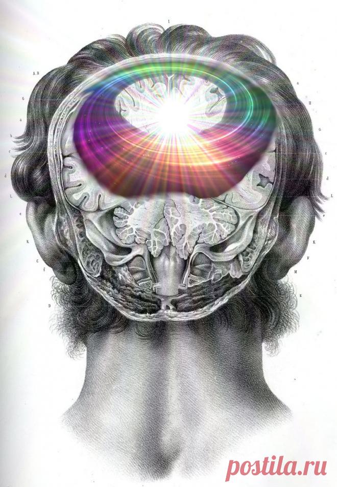 Квантовая физика: как сознание управляет материей