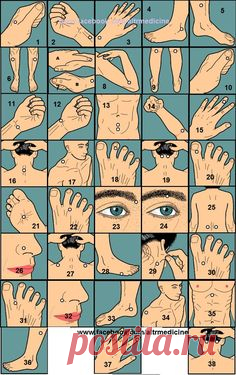 (587) Pinterest