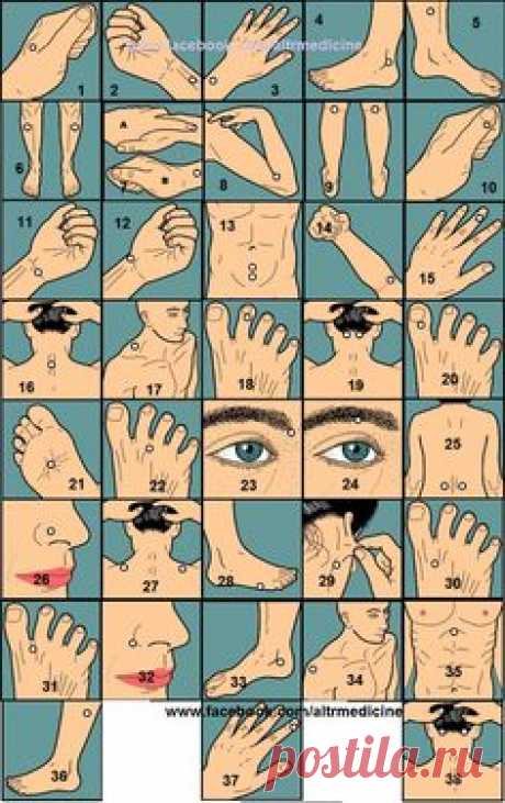 (587) Pinterest