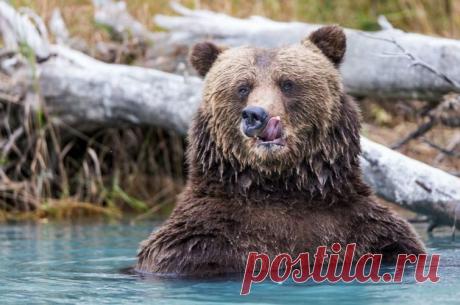 Если в том, что делаешь нет веселья, значит, что-то делаешь не так.