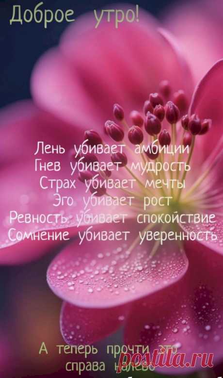 Выпуск №6334 - выпуск анекдотов сайта вокруг смеха