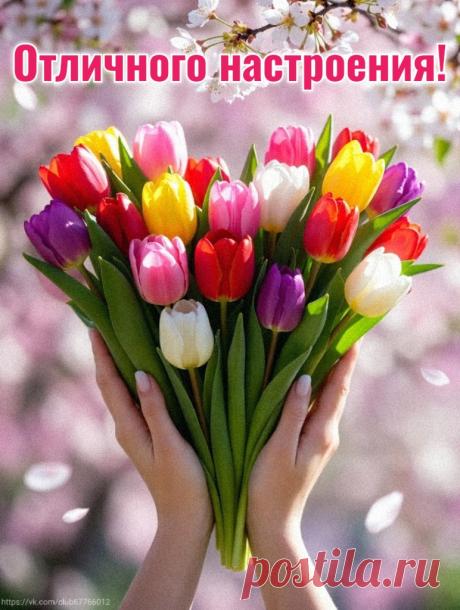 😃 150 Пожеланий Хорошего Настроения в красивых картинках открытках