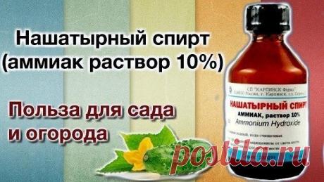 НАШАТЫРНЫЙ СПИРТ ДОМА И НА ДАЧЕ