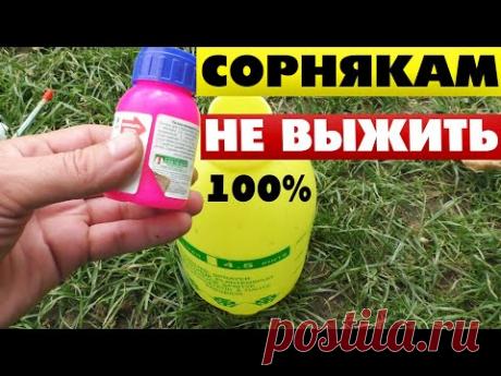 Как избавиться от травы на кладбище на все лето 🌿🍃 - YouTube