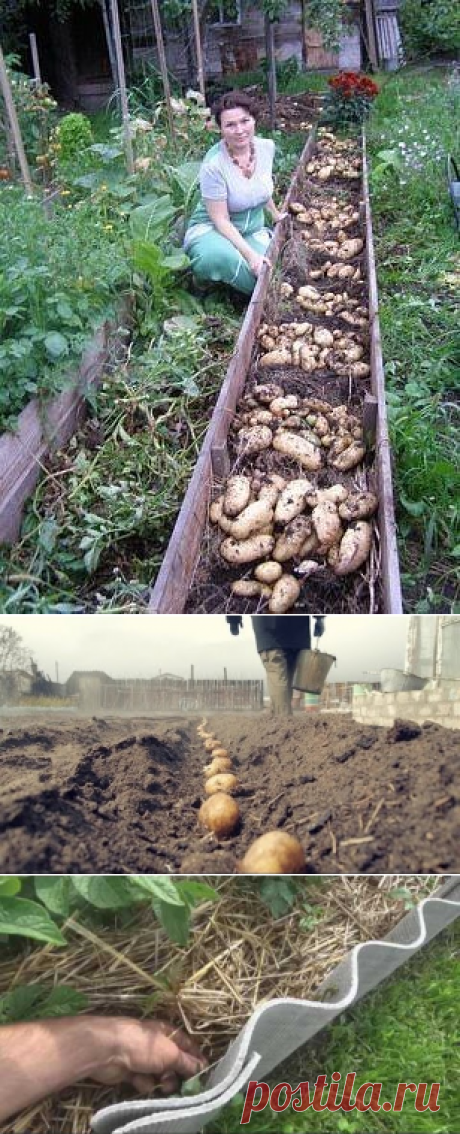 Одноклассники