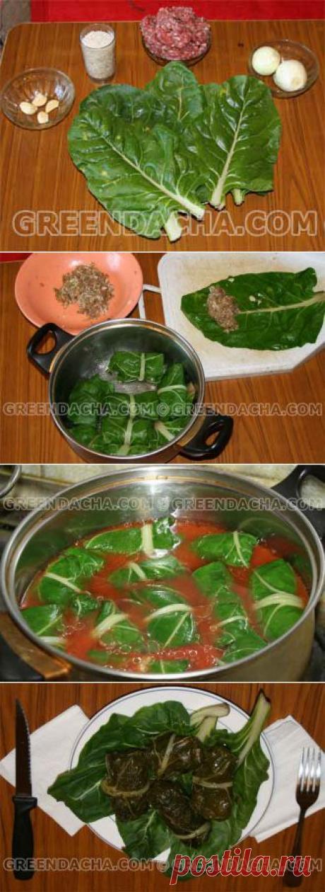 Голубцы из мангольда - рецепт.