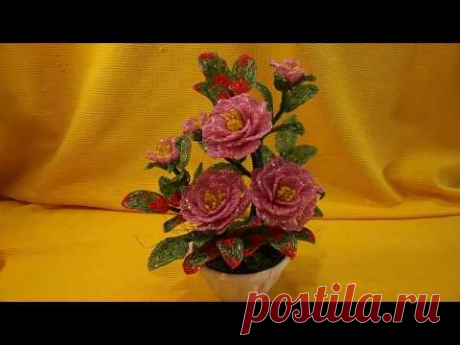 Камелия//Часть 1