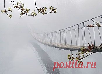 Издавна известно, что честным трудом много не заработать. Но некоторым людям очень хочется обогатиться сверх меры, и они выбирают для себя профессии и занятия, в которых можно нажиться. О том, что они помимо чести и совести теряют, встав на путь стяжательства, и расскажет вам моя поучительная притча в стихах.