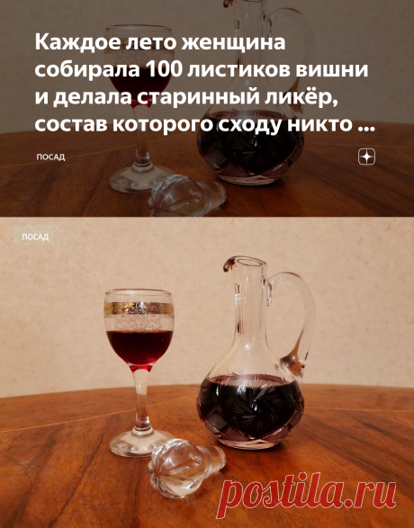Каждое лето женщина собирала 100 листиков вишни и делала старинный ликёр, состав которого сходу никто не мог угадать | Посад | Яндекс Дзен