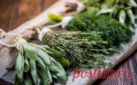 Травы на кухне. 5 поварских трюков, позволяющих получить больше аромата даже из сухой зелени