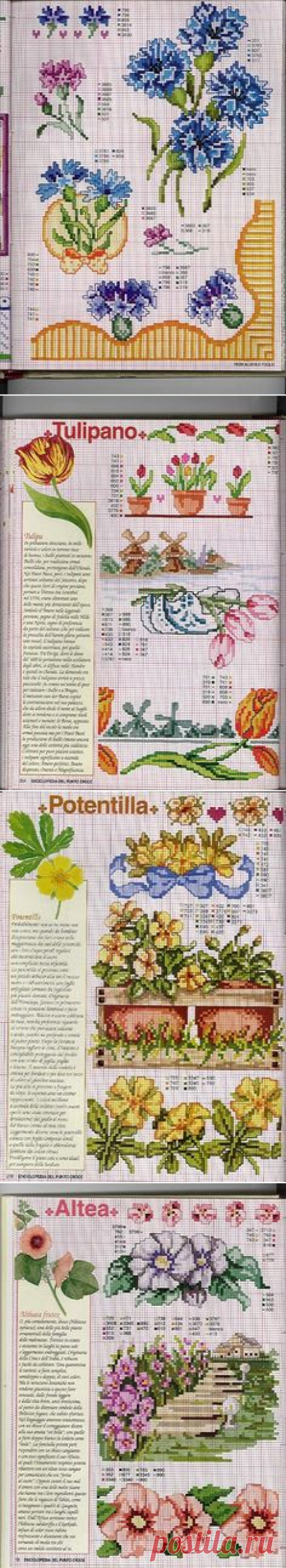 (878) Pinterest