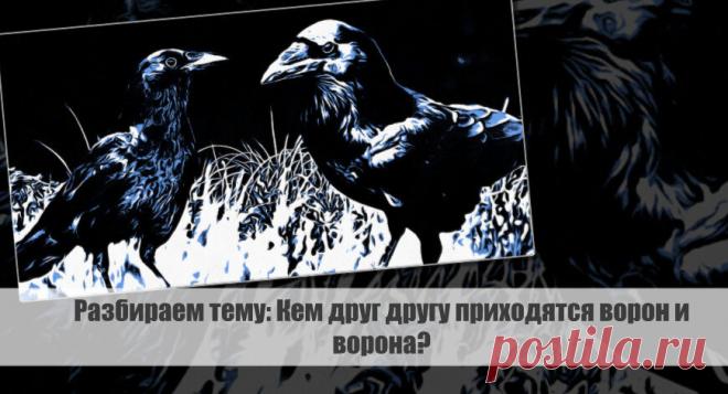 Разбираем тему: Кем друг другу приходятся ворон и ворона? Статья автора «VestiNews.